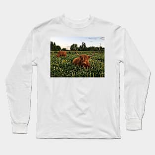 Scottish Highland Cattle Cows 2423 Long Sleeve T-Shirt